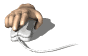 informatique souris hand computermouse do a sw gif